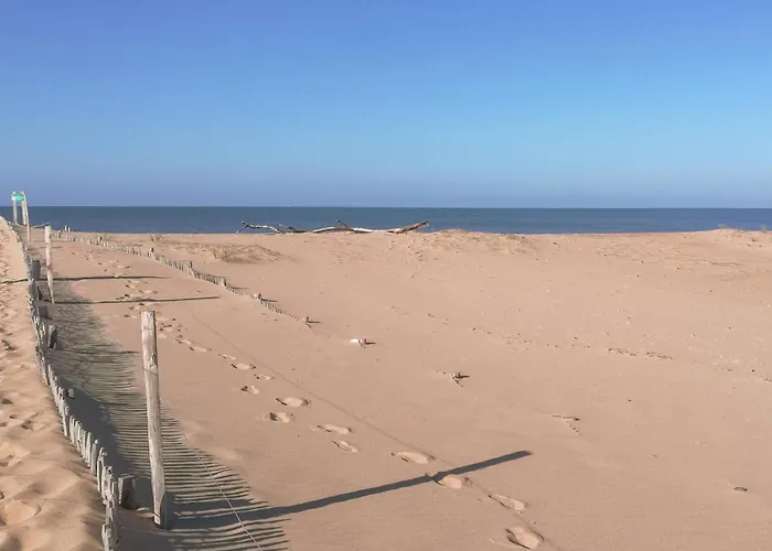 Amazing In * Talmont-Saint-Hilaire